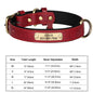 Personalized Dog Collar Custom Engraved  Small Medium Large Dogs