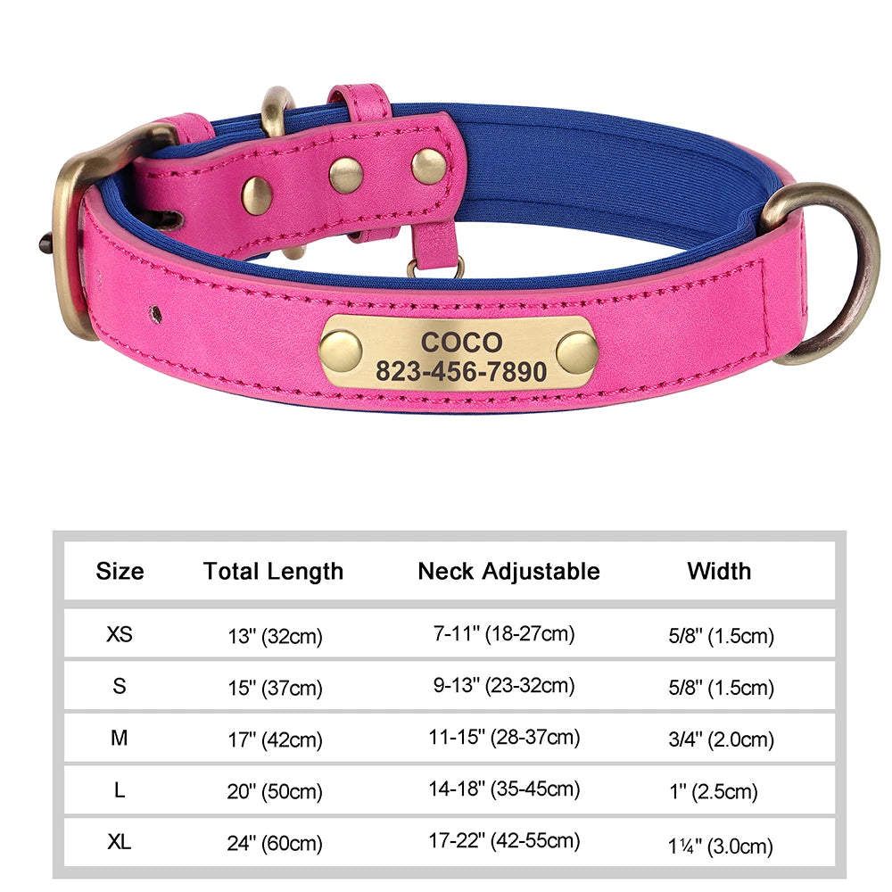 Personalized Dog Collar Custom Engraved  Small Medium Large Dogs