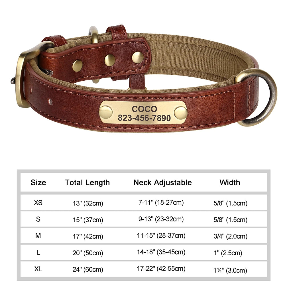 Personalized Dog Collar Custom Engraved  Small Medium Large Dogs