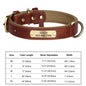 Personalized Dog Collar Custom Engraved  Small Medium Large Dogs