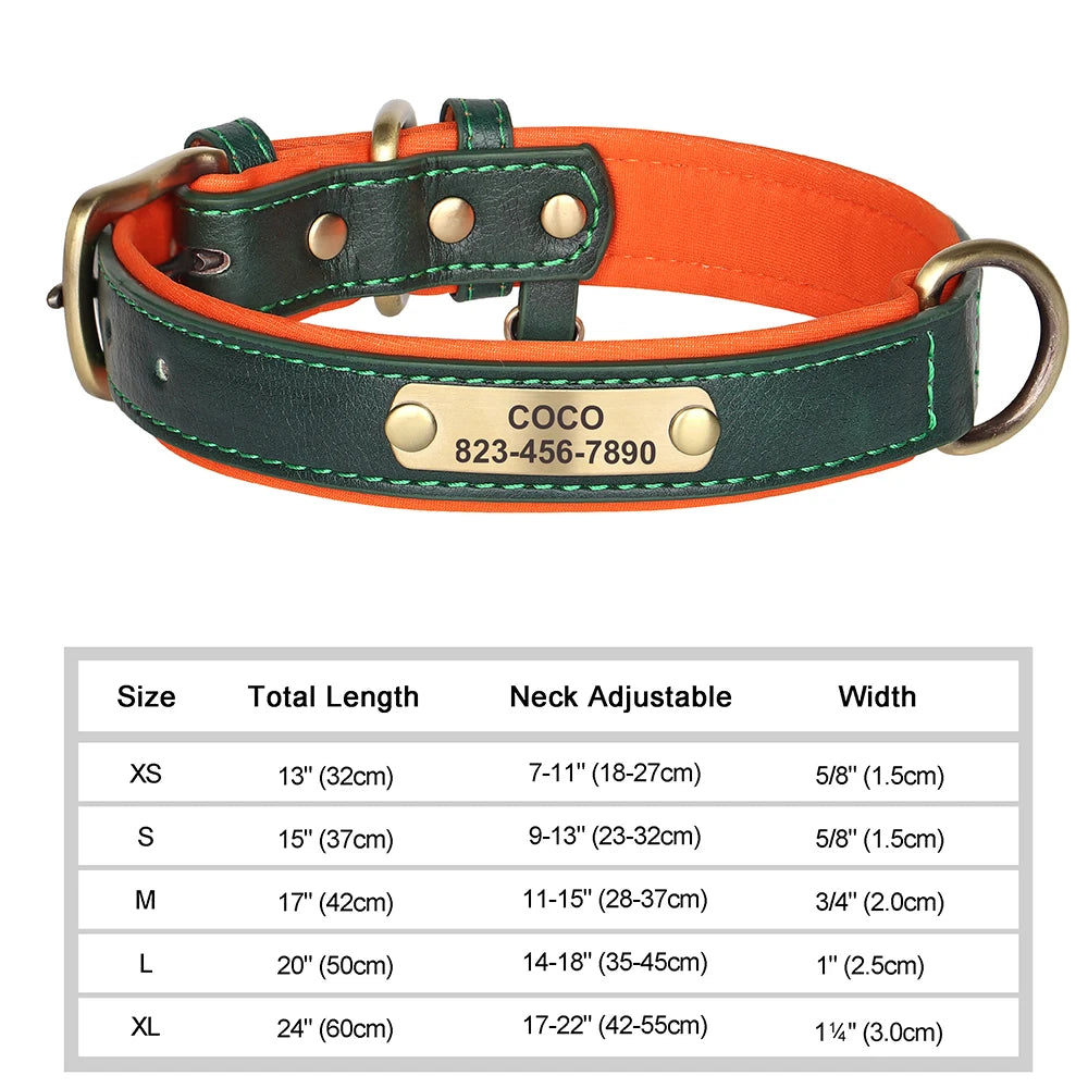 Personalized Dog Collar Custom Engraved  Small Medium Large Dogs