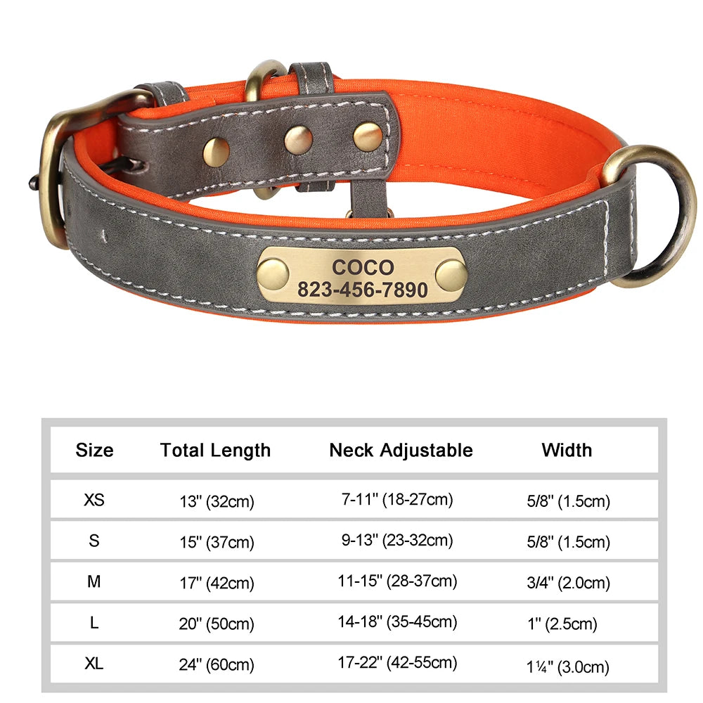 Personalized Dog Collar Custom Engraved  Small Medium Large Dogs