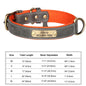 Personalized Dog Collar Custom Engraved  Small Medium Large Dogs