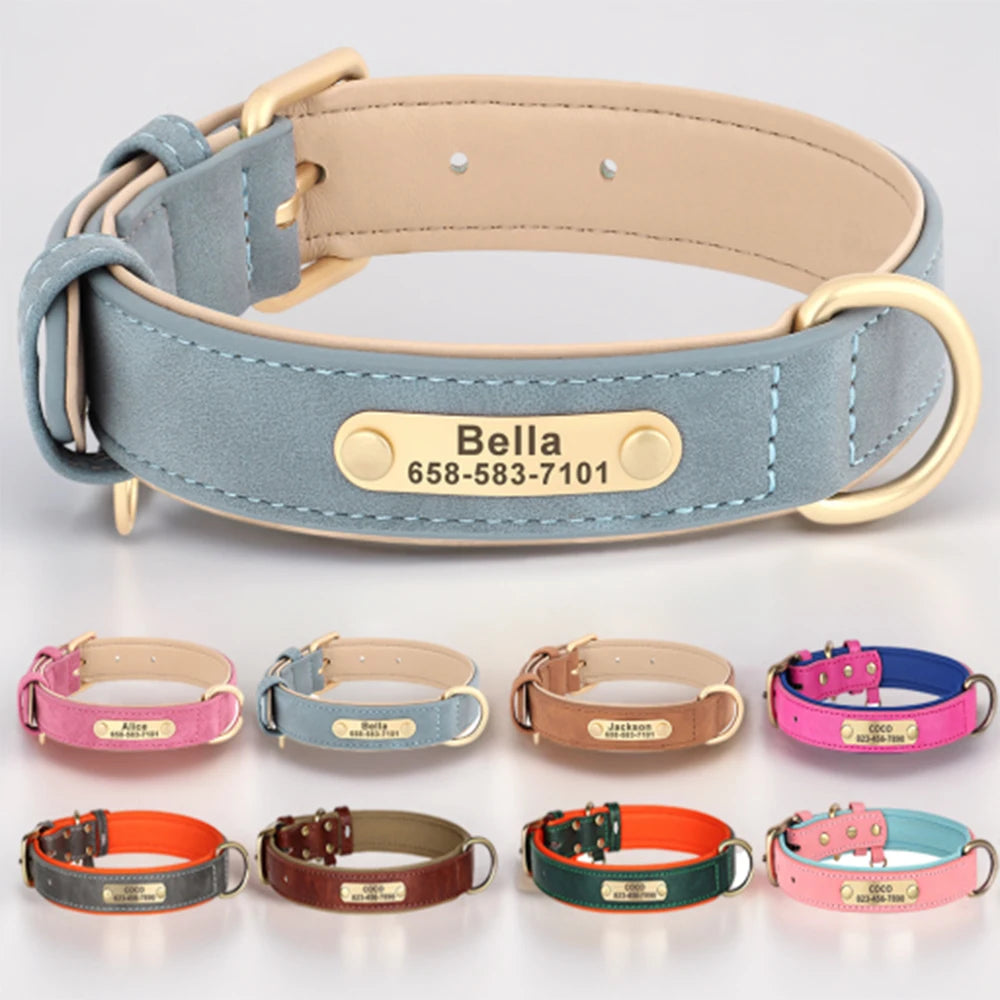 Personalized Dog Collar Custom Engraved  Small Medium Large Dogs