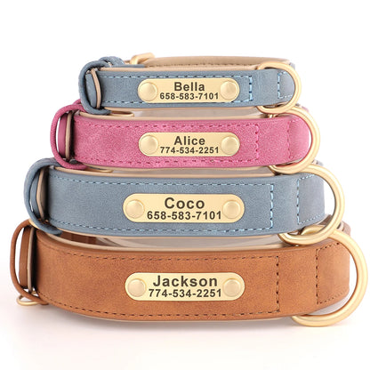 Personalized Dog Collar Custom Engraved  Small Medium Large Dogs