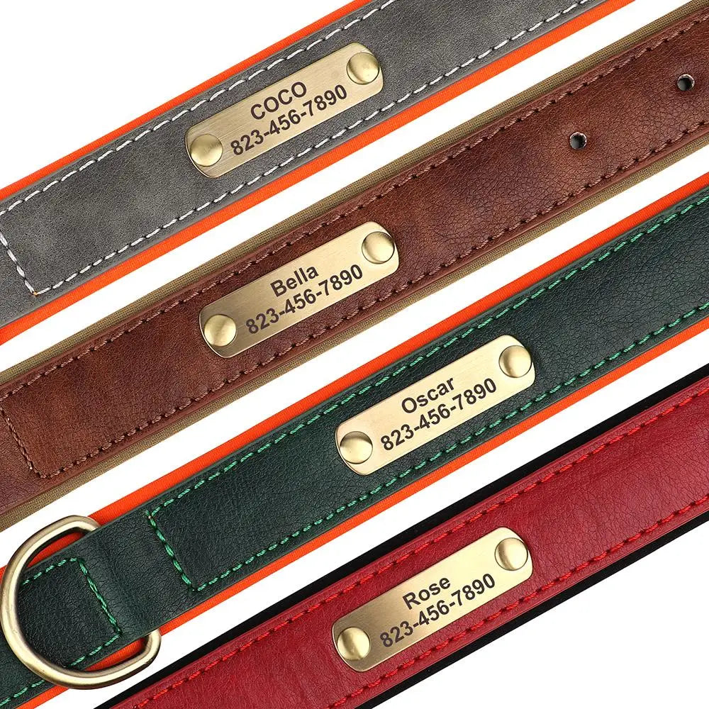 Personalized Dog Collar Custom Engraved  Small Medium Large Dogs