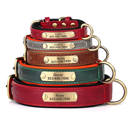 Personalized Dog Collar Custom Engraved  Small Medium Large Dogs